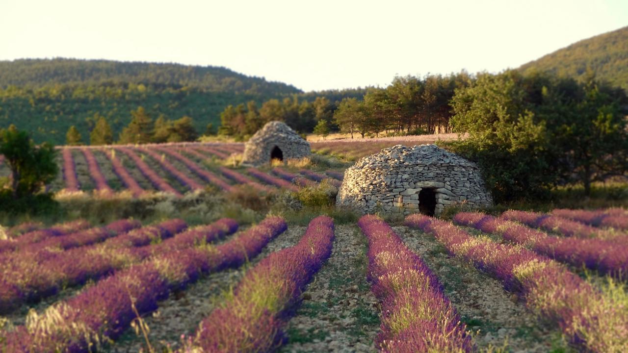 Chateau Ferrassieres المظهر الخارجي الصورة